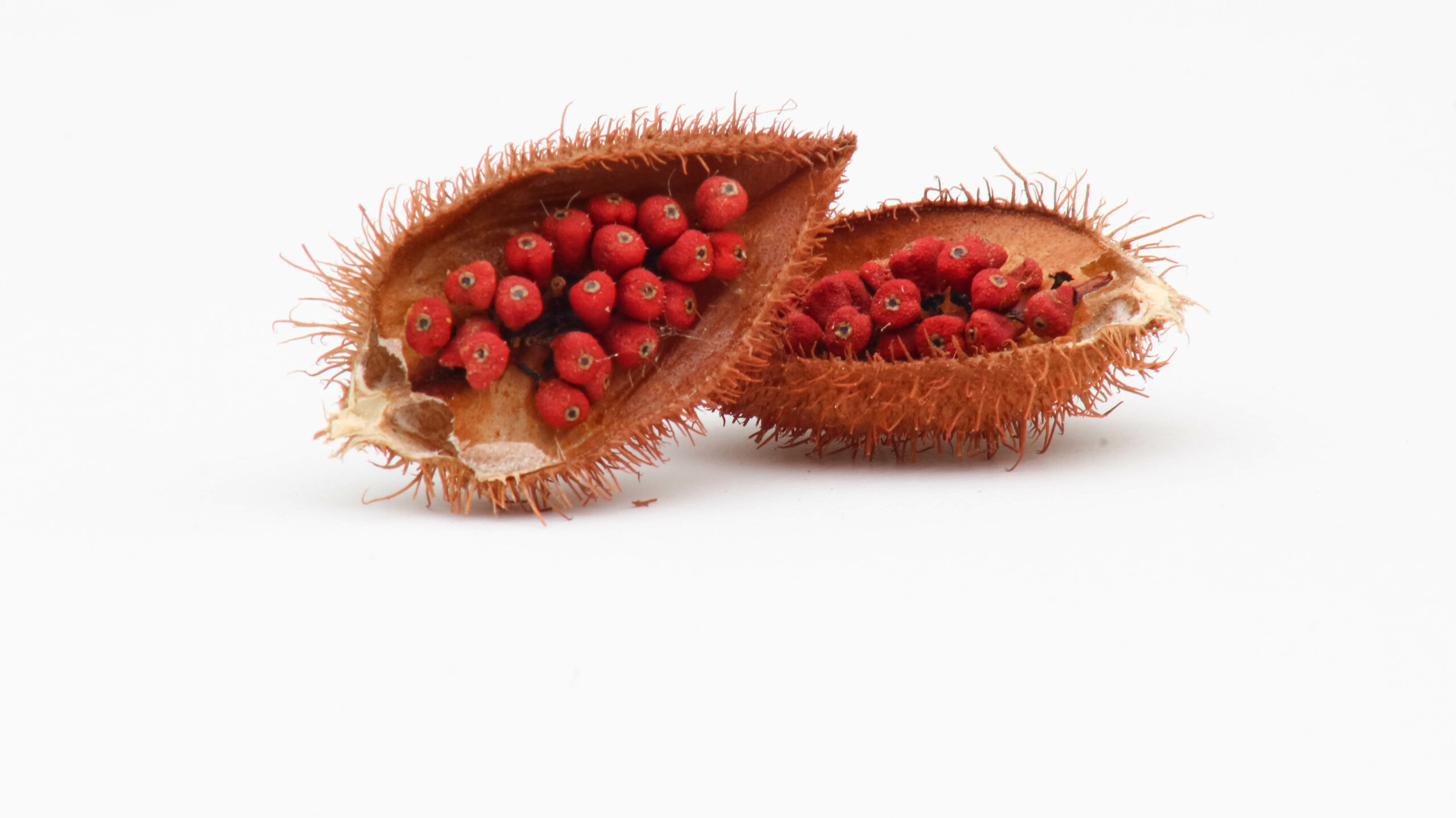 Annatto medicinal properties